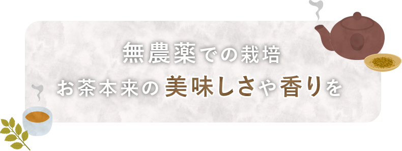 無農薬での栽培 お茶本来の美味しさや香りを